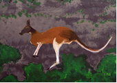 Red Kangaroo Dreaming